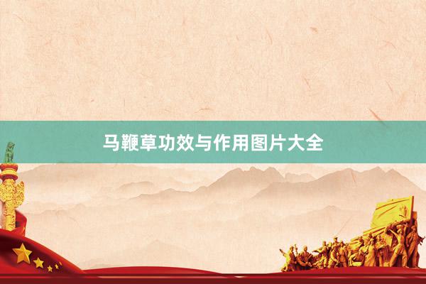 马鞭草功效与作用图片大全