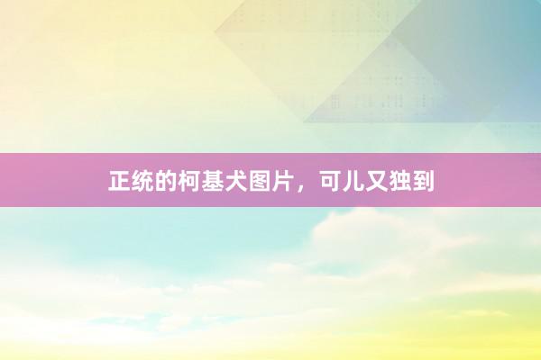 正统的柯基犬图片，可儿又独到