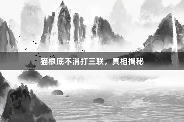 猫根底不消打三联，真相揭秘