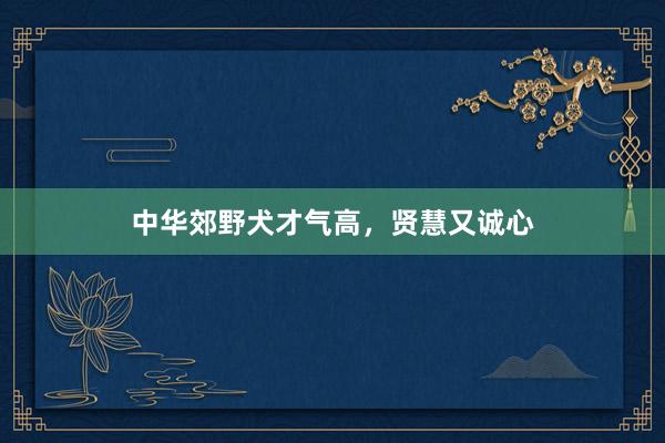 中华郊野犬才气高，贤慧又诚心
